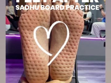 Sadhu Board illinois